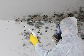 Best Residential Mold Inspection & Testing  in Lake Brownwood, TX